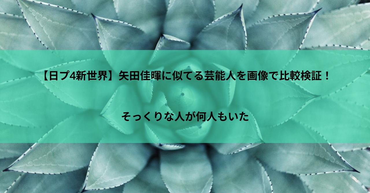 【日プ4新世界】矢田佳暉に似てる芸能人を画像で比較検証!そっくりな人が何人もいた