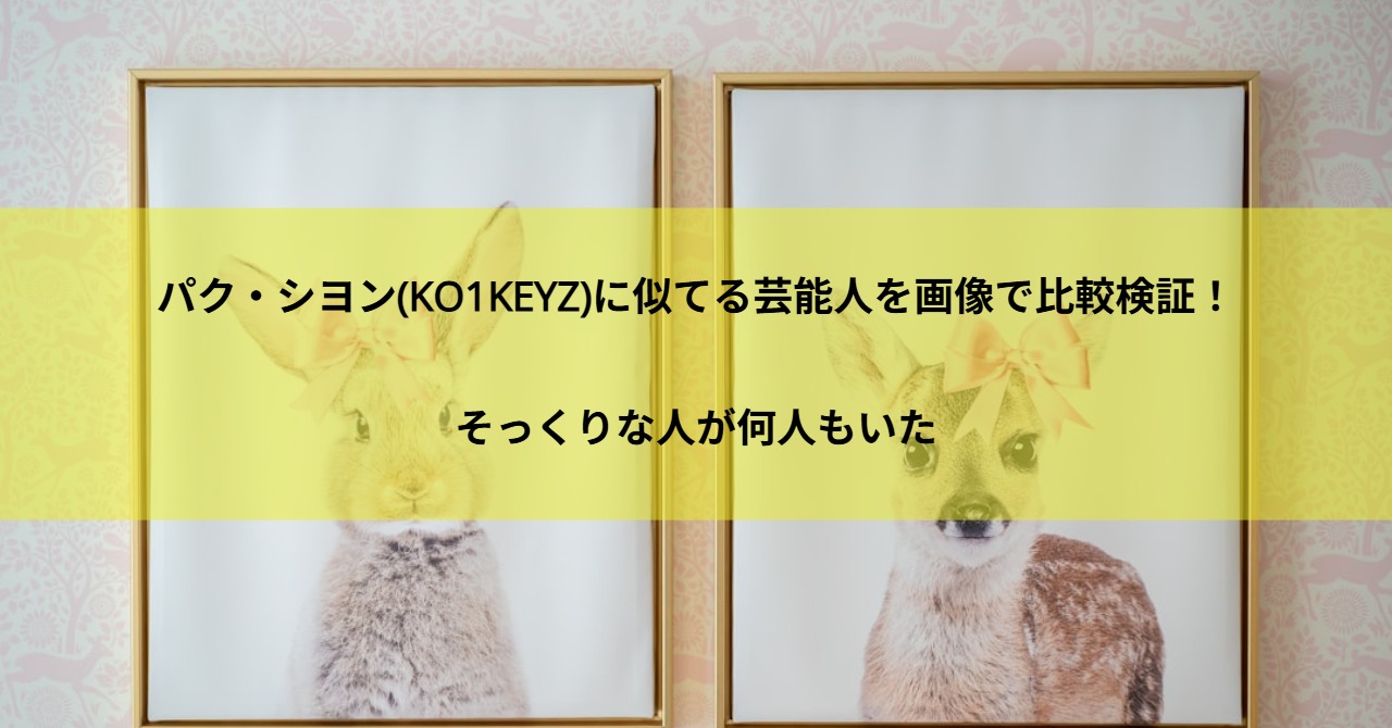 パク・シヨン(KO1KEYZ)に似てる芸能人を画像で比較検証!そっくりな人が何人もいた